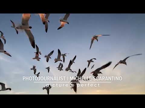 Picture Perfect: Moments of Zen from Houston, around Texas and across the globe