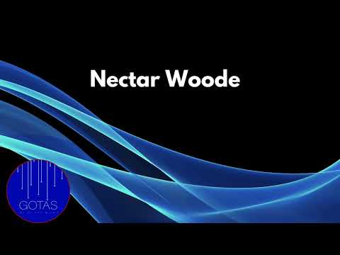 NECTAR WOODE - How It's Gotta Be
