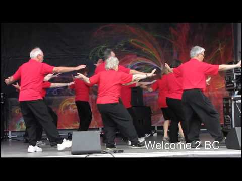 Tai Chi  demonstration in Surrey Fusion, 2012