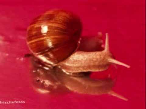 An einem Sonntag in Berlin