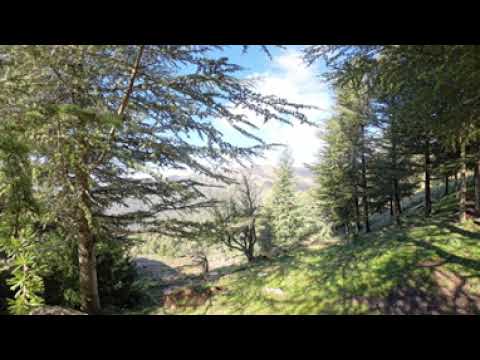 TALA N WUDI- 360° Immersion in Djurdjura | Djurdjura National Park