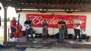 A White Rose - 7 Mile Bluegrass