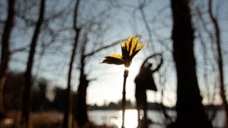 The Lake Lake Show :: With Katie Kim and Lisa O'Neill