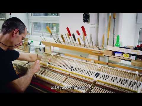 Stations of the Steinway vol.8 - Regulation