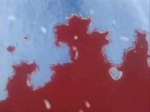 Samurai X what have I done