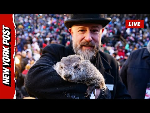 Did Punxsutawney Phil see his shadow on Groundhog Day?