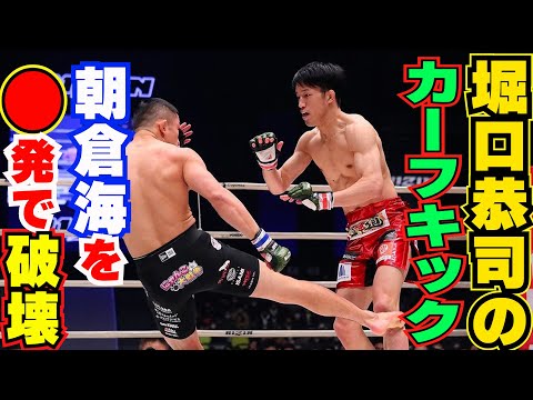 朝倉海を○発で破壊した堀口恭司のカーフキック全弾！