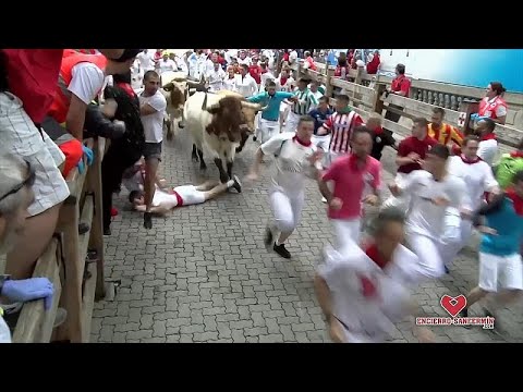 Largada de touros em Pamplona faz feridos