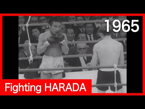 Fighting HARADA  ( ファイティング原田 昭和40年)