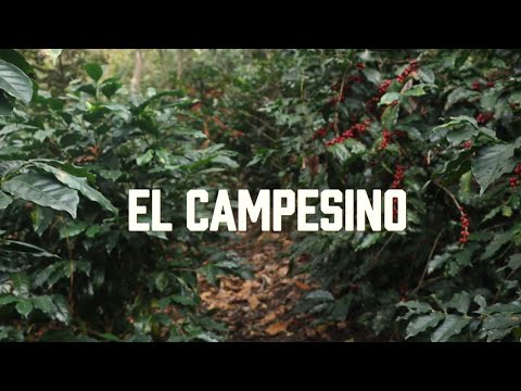 El Campesino. Los Carnales. Dany Morales. Edmundo Mendoza. Eugenio Pedro
