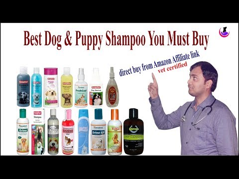 download lagu mp3 mp4 Micodin Dog Shampoo, download mp3 Micodin Dog Shampoo free download, download mp3 Micodin Dog Shampoo
