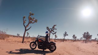 The Trailblazer | Harley-Davidson