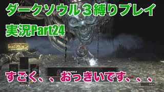 ダークソウル３縛りプレイ実況 | 覇王ウォルニール戦【Part24】