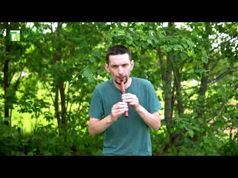 "Yesterday" on high D rosewood whistle - HarmonyFlute workshop