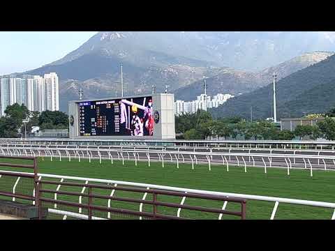 21/11/2021 (193) 金鎗六十 (C238) 何澤堯 馬會一哩錦標