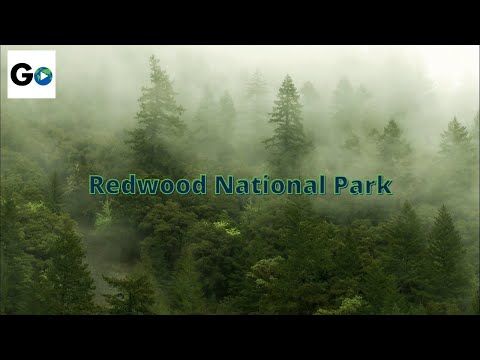 Visit Every Single American National Park!