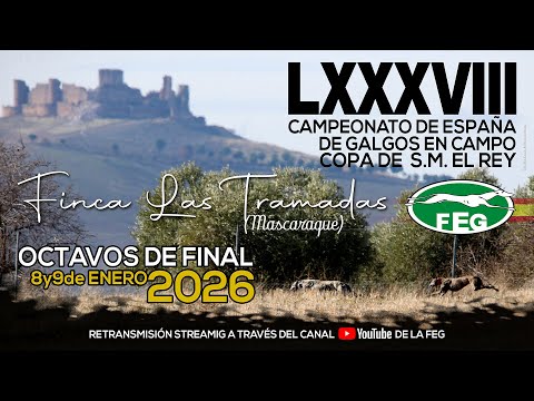 Primera Jornada   Octavos  LXXXVIII  Campeonato de España Galgos en Campo     COPA DE S,M, EL REY