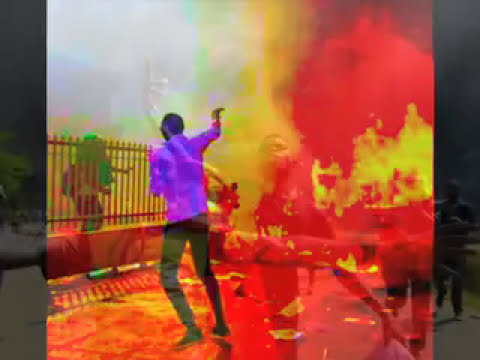 Lee "Scratch" Perry & Mad Professor-Soul Fire