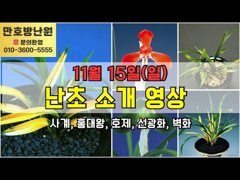 유튜브 썸네일