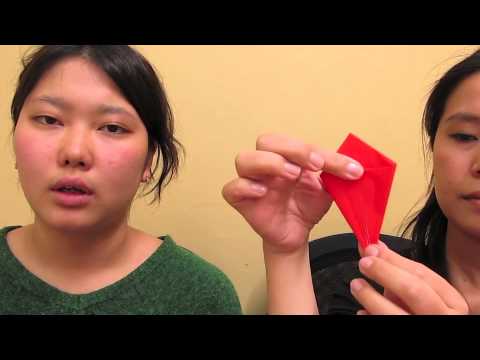 Japanese Culture --- #2 Origami