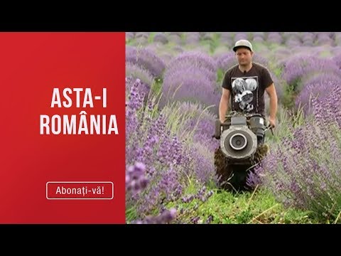 Asta-i Romania (06.10.2019) - Povestea romanilor care ne fac mandri peste tot in lume!