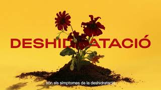 Aquesta calor és mortal