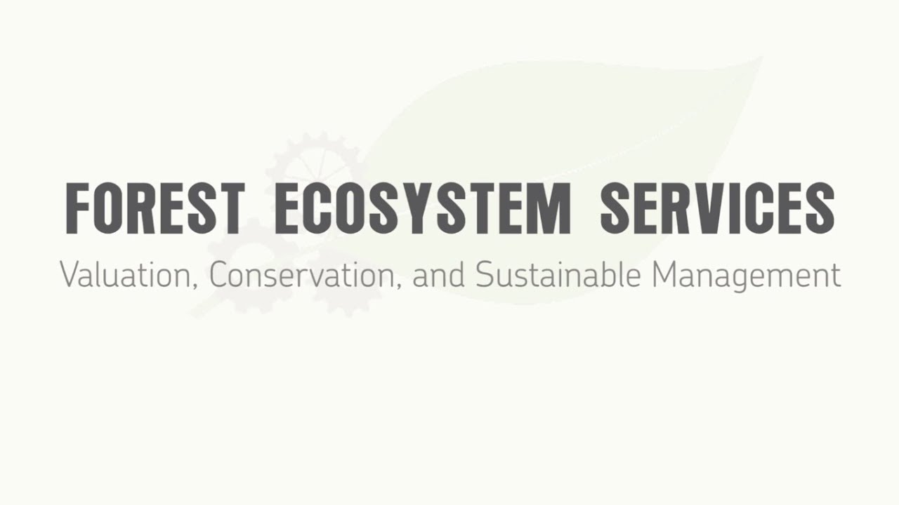 FES: Economic Valuation of Forest Ecosystems