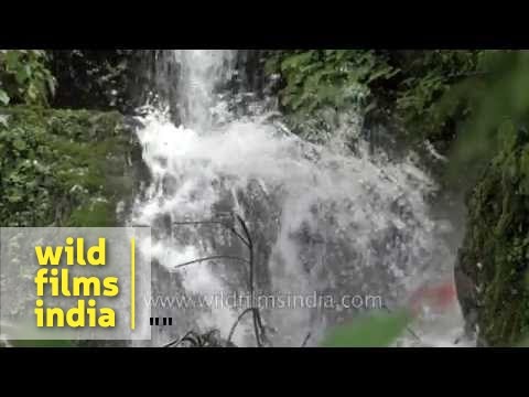 Landour : The best of!