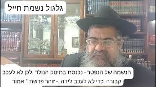 נשמה של אדם שנפטר מתגלגלת בגוף של תינוק שנולד , לכן יש מצווה בתורה להזדרז ,אחרי , מוות מיד קוברים