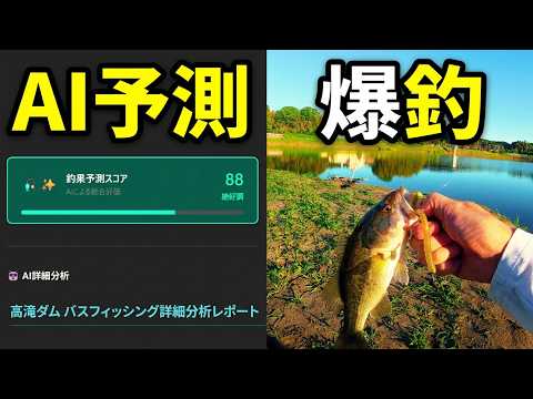 【バス釣り】アフターのブラックバスを自作ＡＩアプリで攻略した結果【高滝ダム】