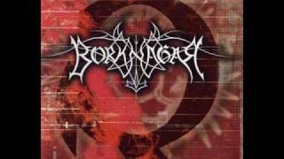 Icon Dreams - Borknagar