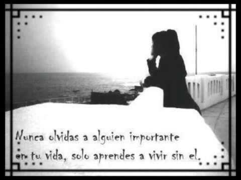 mayco d'alma antes que me olvides