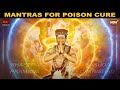 Garuda Upanishad Chanting Mantras For Poison Cure Process Bhagwan Sri Nithyananda Paramashivam