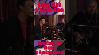 Download lagu Barry and Robin Gibb - How Can You Mend a Broken Heart (2010) mp3
