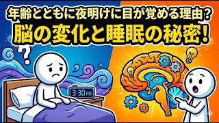 朝に目覚める理由、果たして何でしょうか？