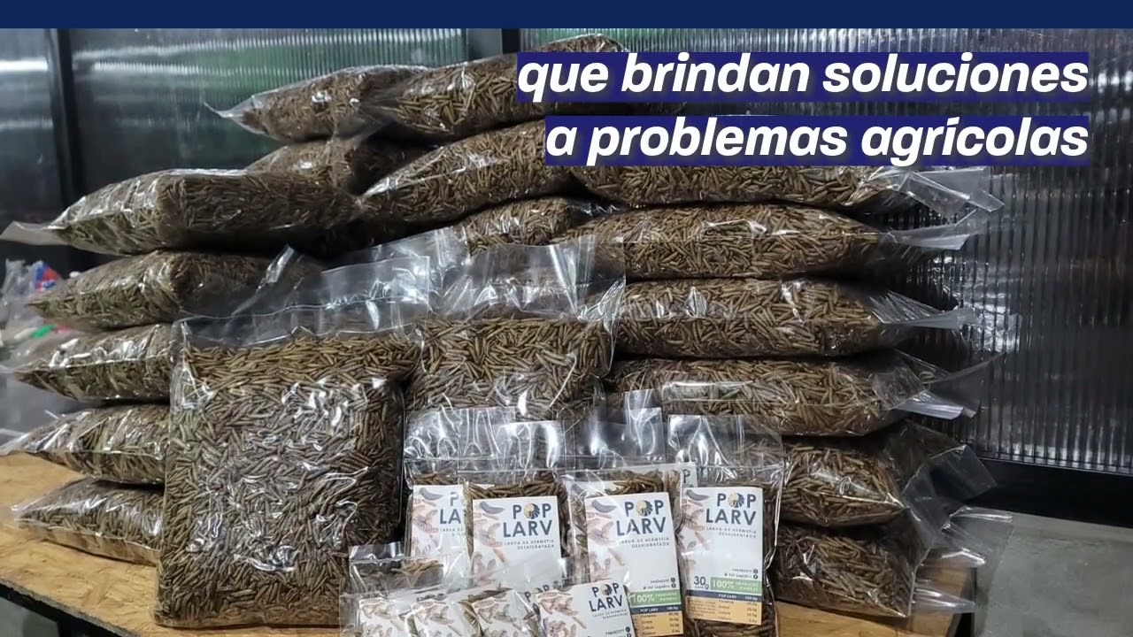 Nuevo AgroEnlace: Agrobioemprendimientos: Impulsando la innovación en América Latina