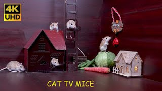 4K Cat TV Mice Exploring and Playing Hide & Seek in a Mouse Village for cats to watch