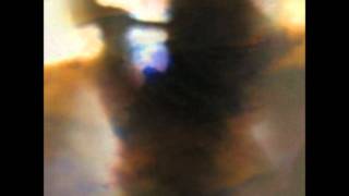 Animal Collective - What Would I Want. Sky?