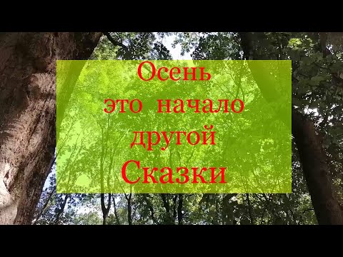 Вот и Осень.Сидишь себе в интернете никого не трогаешь.И тут бац и Осень началась.