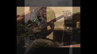 Alain Bashung - Résidents De La République - [Bass Cover]