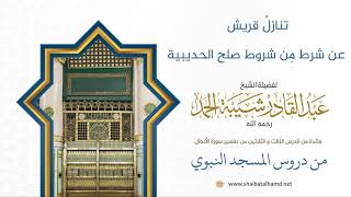 صورة تنازلُ قريش عن شرط مِن شروط صلح الحديبية | لفضيلة الشيخ عبدالقادر شيبة الحمد رحمه الله319