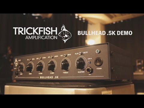 Trickfish Bullhead .5k bass amplifier w/SKB 2U Rack image 6