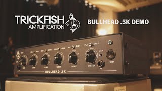 Video thumbnail for Trickfish Bullhead .5K Bass Amp Demo(No Talking) - De Gier, Tokai, Double Bass Test by Jonathan LAI - Hong Kong Bass Player
