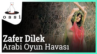 Zafer Dilek / Arabi Oyun Havası