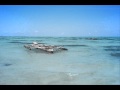 Whats Happenin Ying Yang Twins Wmv