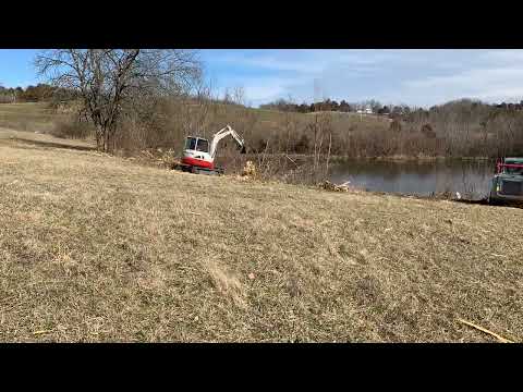 Takeuchi TB250-2 and TL10V2 with Skidpro Extreme pond clearing