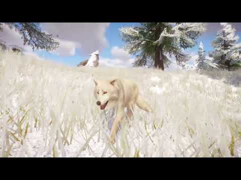 Arctic Wolf | Interesting Facts about Animals