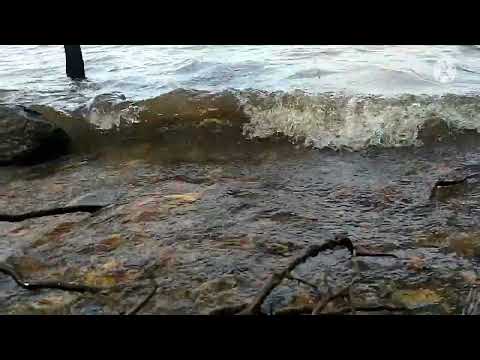 sea beach beautiful nature 🥰//whatsapp status ❤️//short video/love video ❤️