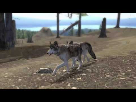 FIRST LOOK: Ultimate Wolf Simulator 2 - YouTube