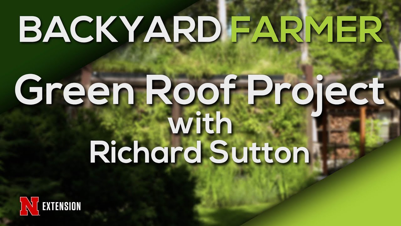Green Roof Project